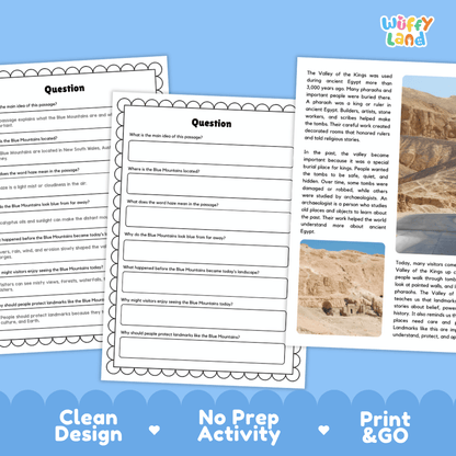 Student reading passage titled Ancient Tombs in Egypt detailing Valley of the Kings pharaohs archaeological history and Luxor desert photography