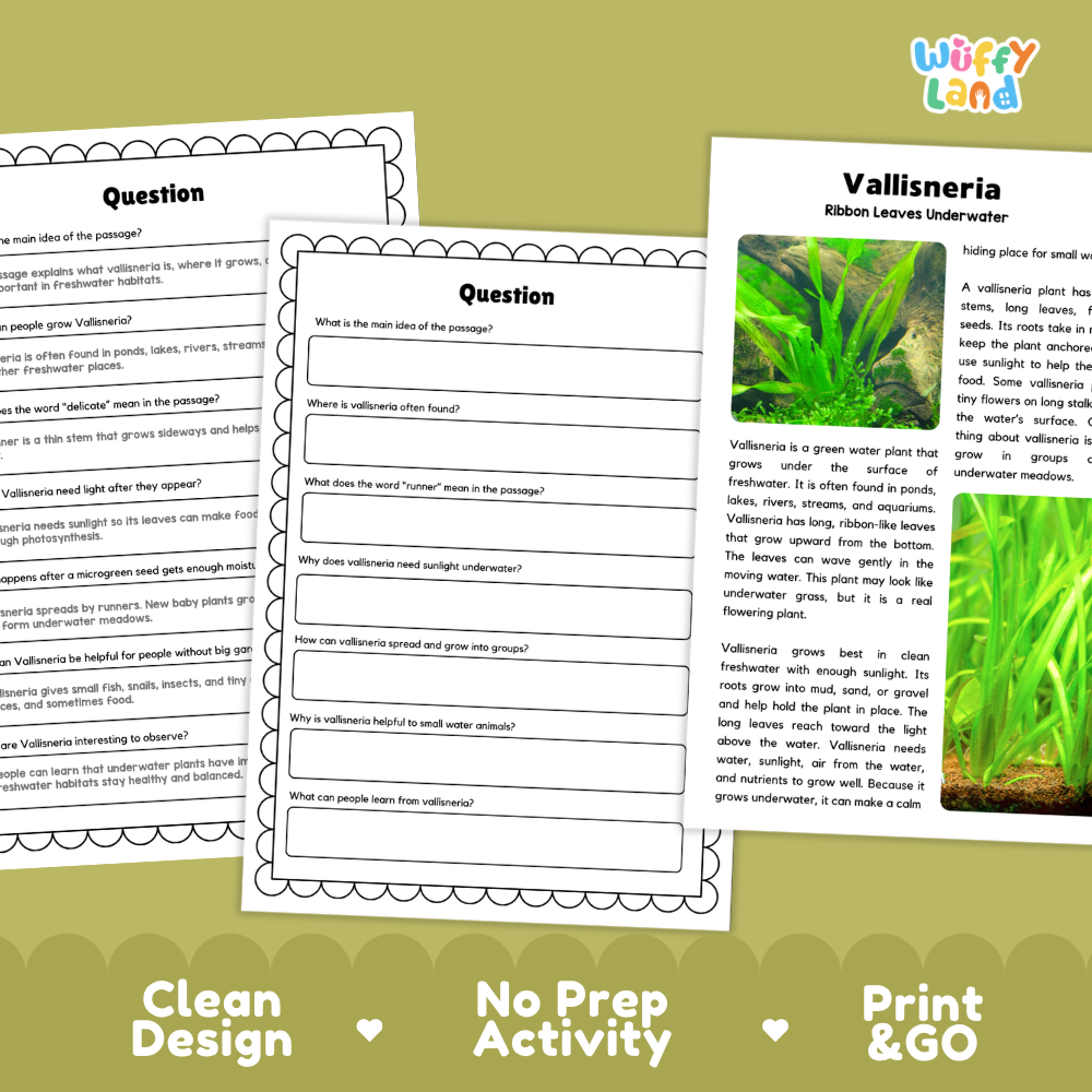 Vallisneria Plant Reading Passages Worksheets and Comprehension Activity