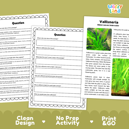 Vallisneria Plant Reading Passages Worksheets and Comprehension Activity