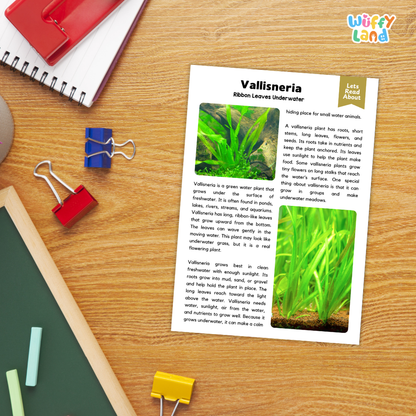 Vallisneria Plant Reading Passages Worksheets and Comprehension Activity