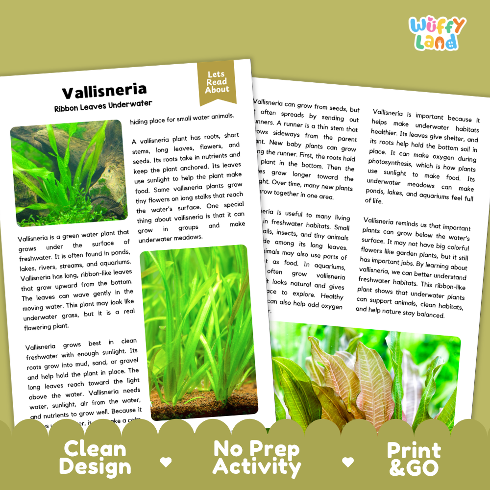 Vallisneria Plant Reading Passages Worksheets and Comprehension Activity