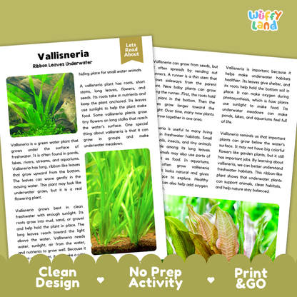 Vallisneria Plant Reading Passages Worksheets and Comprehension Activity