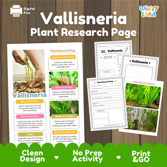Student plant research page writing worksheets with real close up underwater ribbon leaves, bare root specimens, lined note-taking prompts, and drawing frames