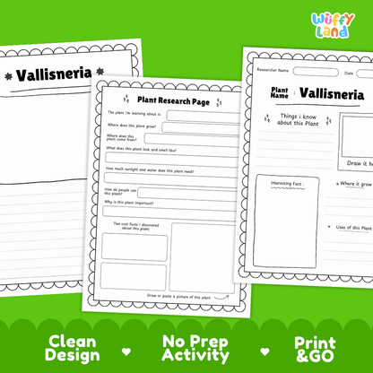 Vallisneria Plant Research Pages and Worksheets