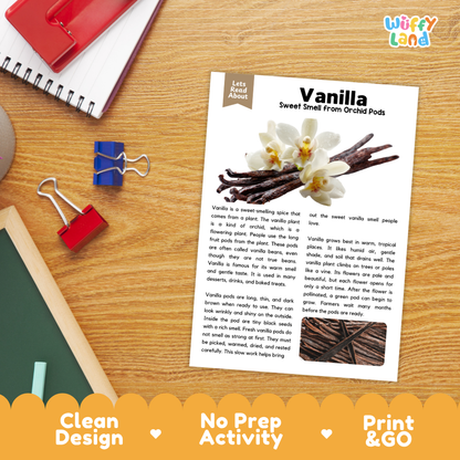 Student reading comprehension worksheet with short-answer questions and lined sections about vanilla spice and orchids