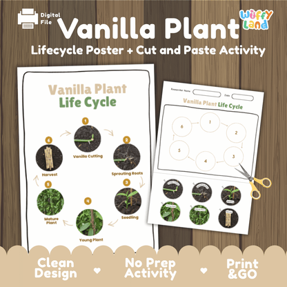 Vanilla Plant Lifecycle Poster and Cut and Paste Activity Worksheets | Plant Science Printables