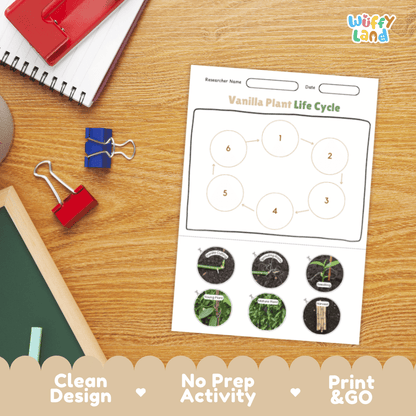Vanilla Plant Lifecycle Poster and Cut and Paste Activity Worksheets | Plant Science Printables