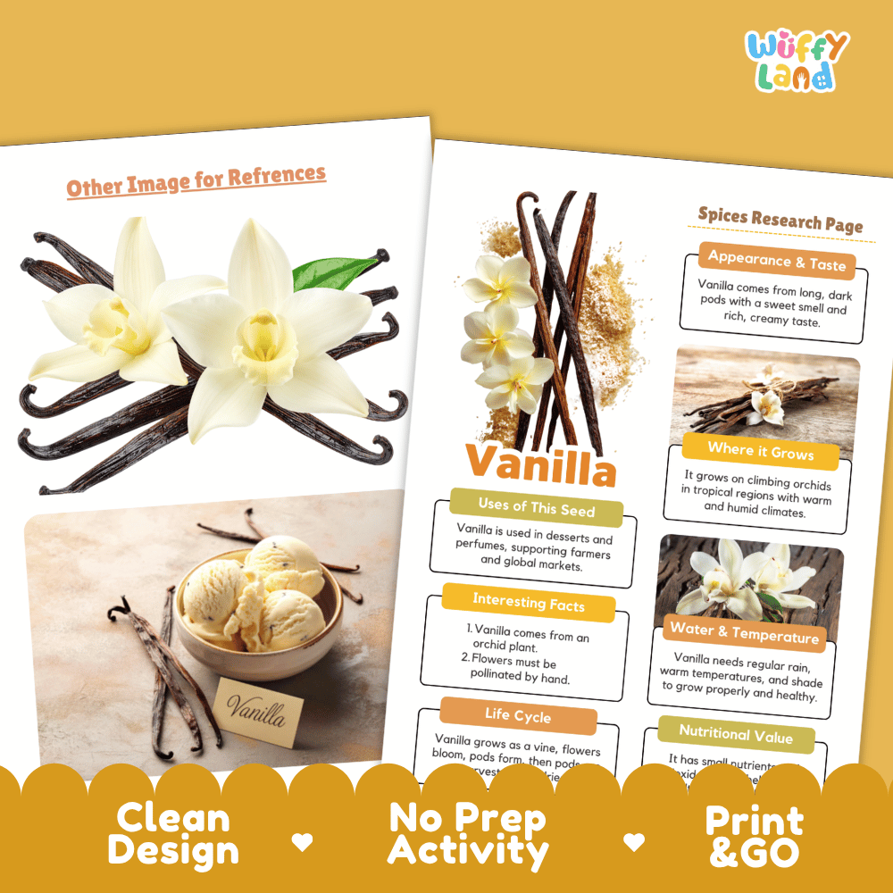 Vanilla Spices Research Page Worksheets and Fact Sheet