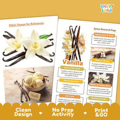 Vanilla Spices Research Page Worksheets and Fact Sheet