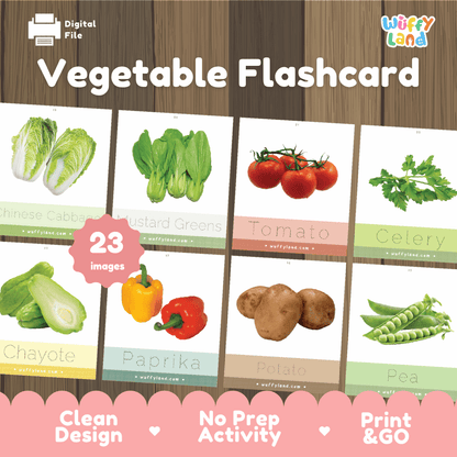 Vegetable Tracing Flashcards – Learn & Write Vegetable Names