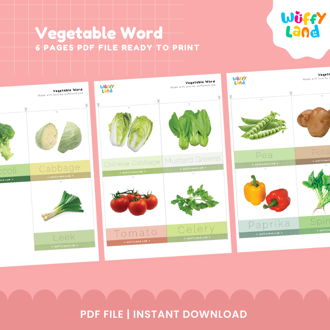Vegetable Tracing Flashcards – Learn & Write Vegetable Names