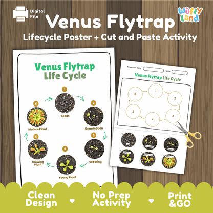 Venus Flytrap Lifecycle Poster and Cut and Paste Activity Worksheets | Plant Science Printables