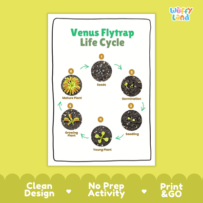 Venus Flytrap Lifecycle Poster and Cut and Paste Activity Worksheets | Plant Science Printables