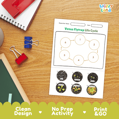 Venus Flytrap Lifecycle Poster and Cut and Paste Activity Worksheets | Plant Science Printables