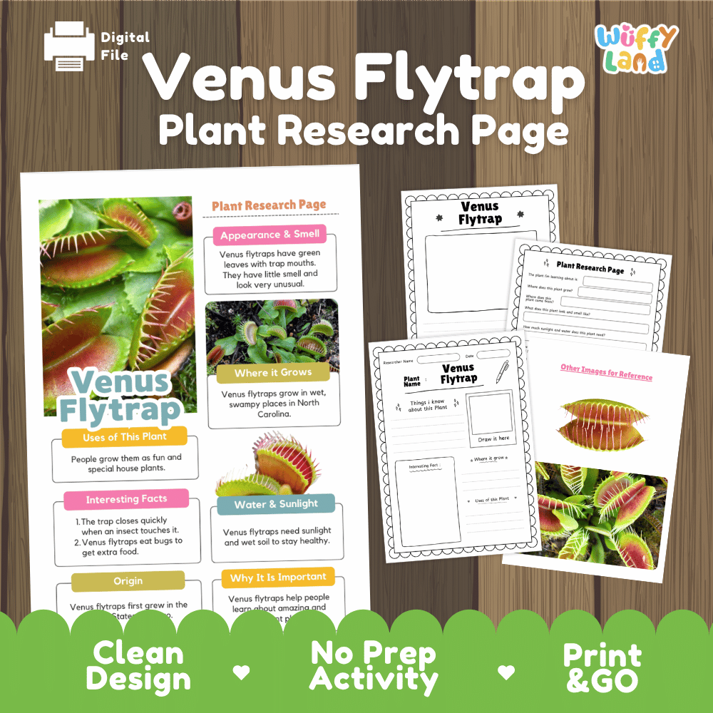 Venus Flytrap Plant Research Page and Worksheets Print and Go Activity