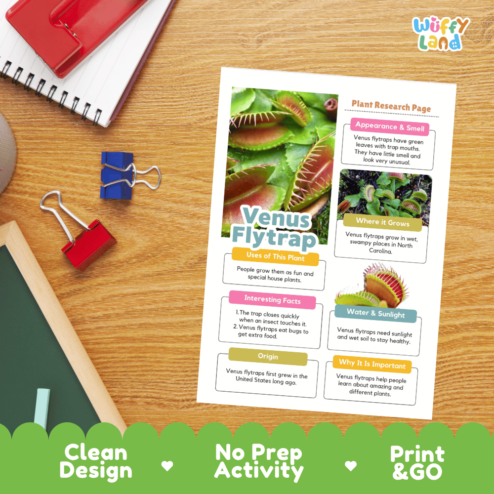 Venus Flytrap Plant Research Page and Worksheets Print and Go Activity