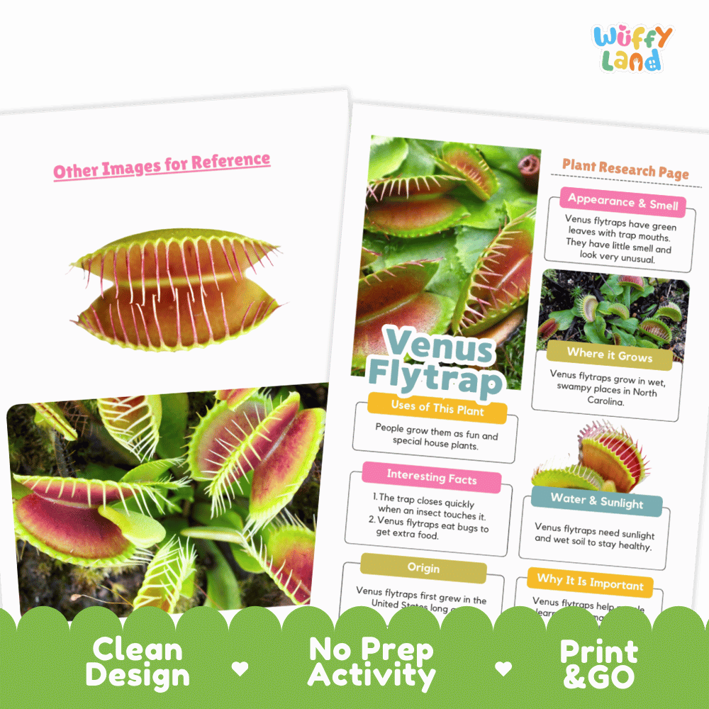 Venus Flytrap Plant Research Page and Worksheets Print and Go Activity