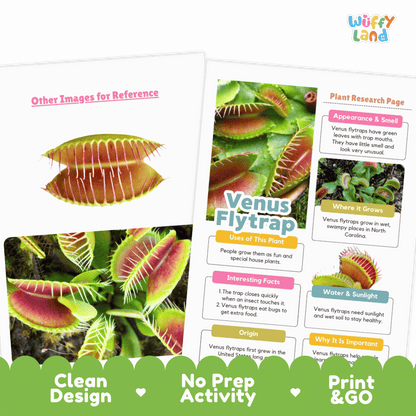 Venus Flytrap Plant Research Page and Worksheets Print and Go Activity
