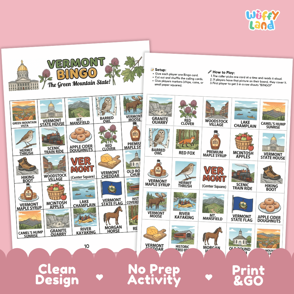 Vermont Geography BINGO Game Green Mountain State Activity Printable Boards