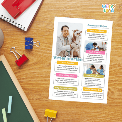 Guided student writing worksheets with lined sections for recording facts and a dedicated box for drawing or pasting a picture of a veterinarian