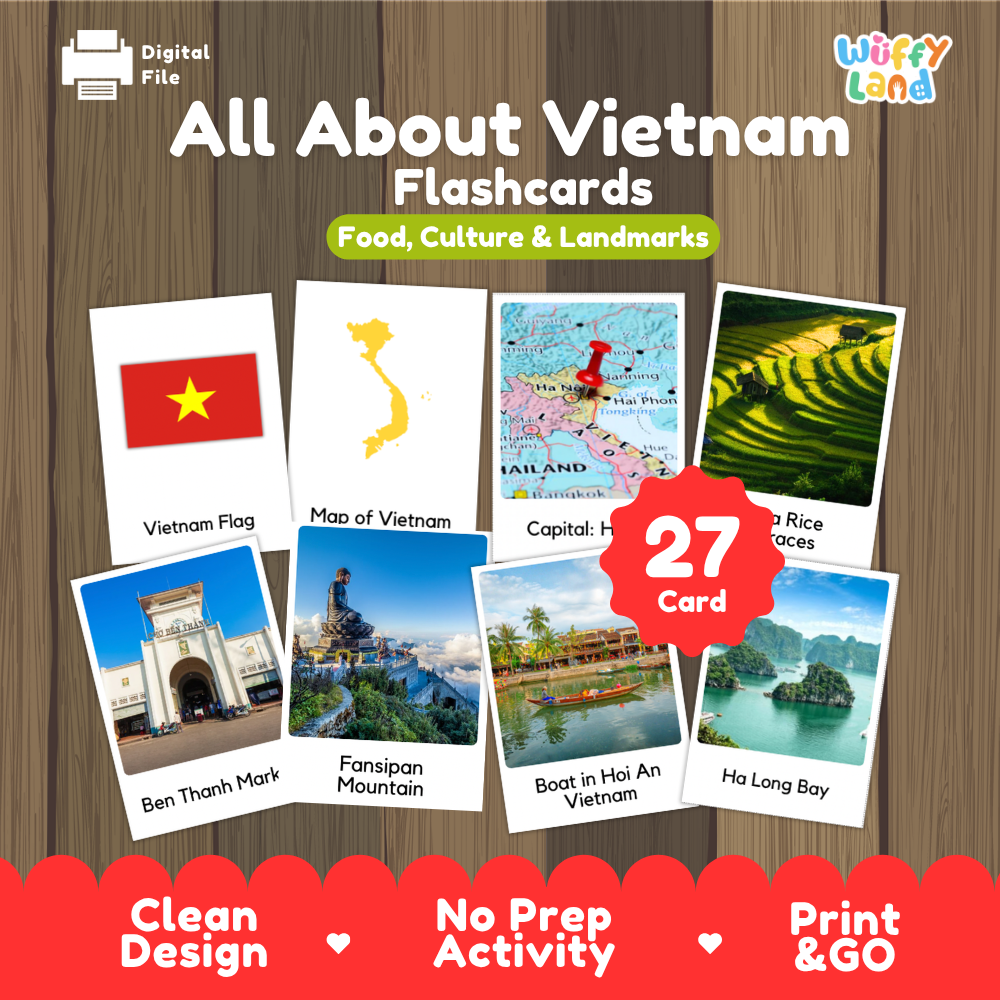 Da Nang Dragon Bridge coloring page paired with real photo flashcards of Sapa rice terraces, Ben Thanh Market, and Ha Long Bay