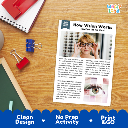 Printable student worksheet with short-answer reading comprehension questions covering vision and human biology