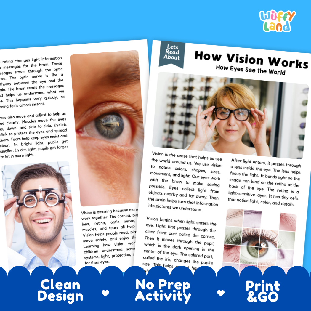 Complete teacher answer key worksheet providing detailed model responses for vision comprehension questions