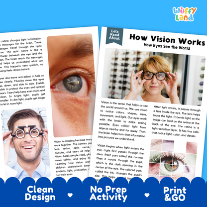 Complete teacher answer key worksheet providing detailed model responses for vision comprehension questions