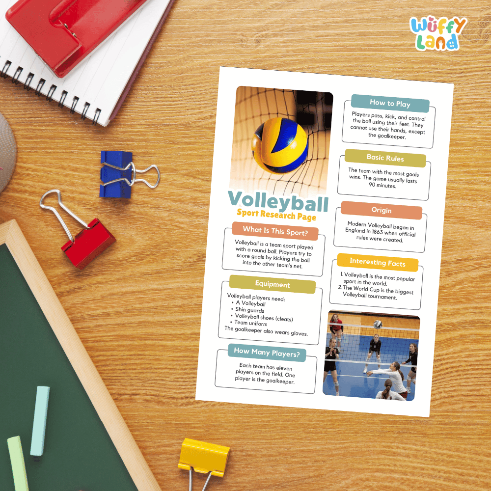 Volleyball Sport Research Project Worksheets and Fact Sheet