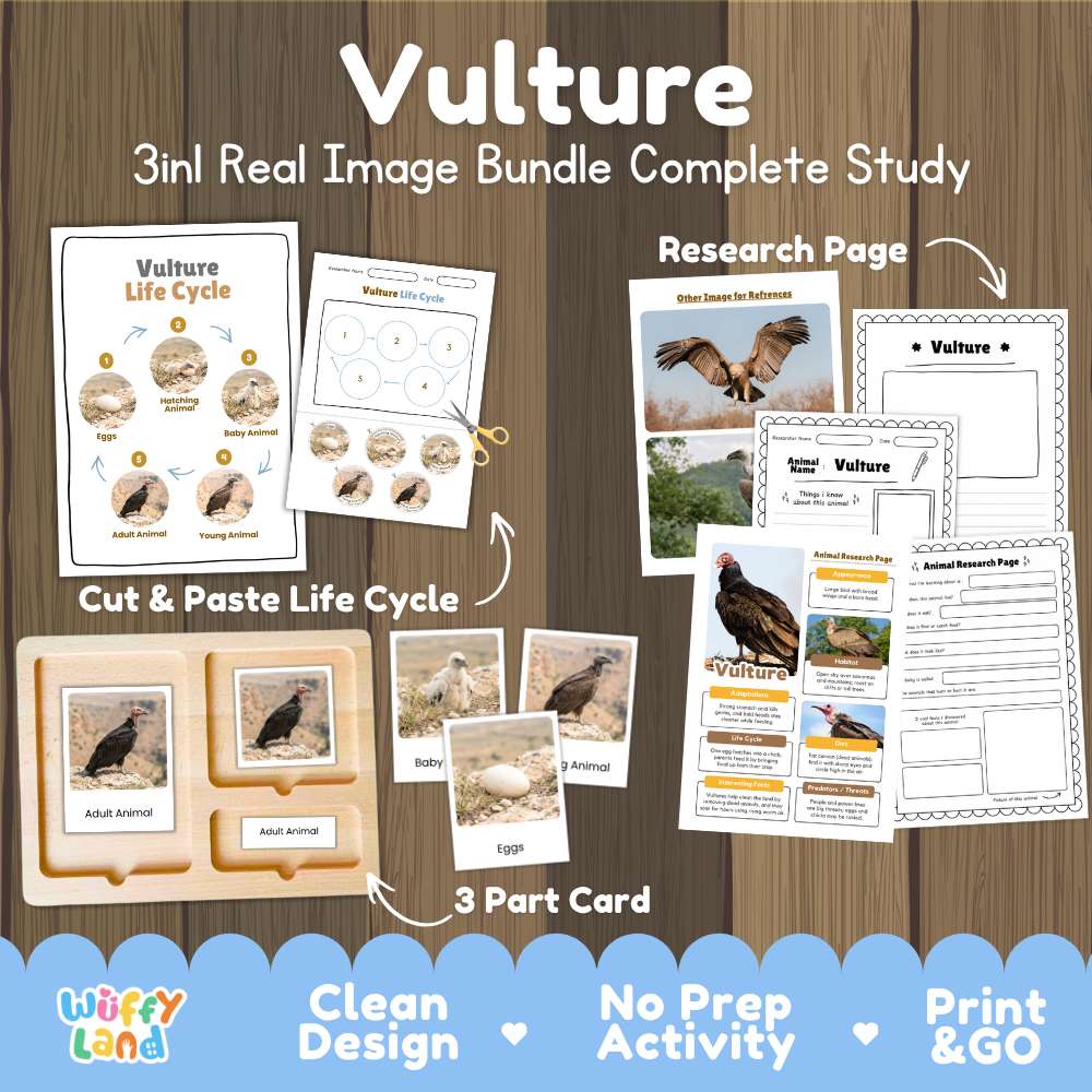 Vulture 3-in-1 real image bundle complete study cover showing cut and paste life cycle, 3 part cards, and research pages