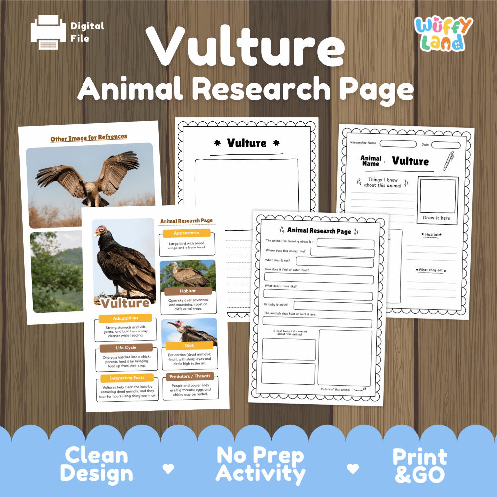 Vulture Animal Research Page Graphic Organizers and Worksheets