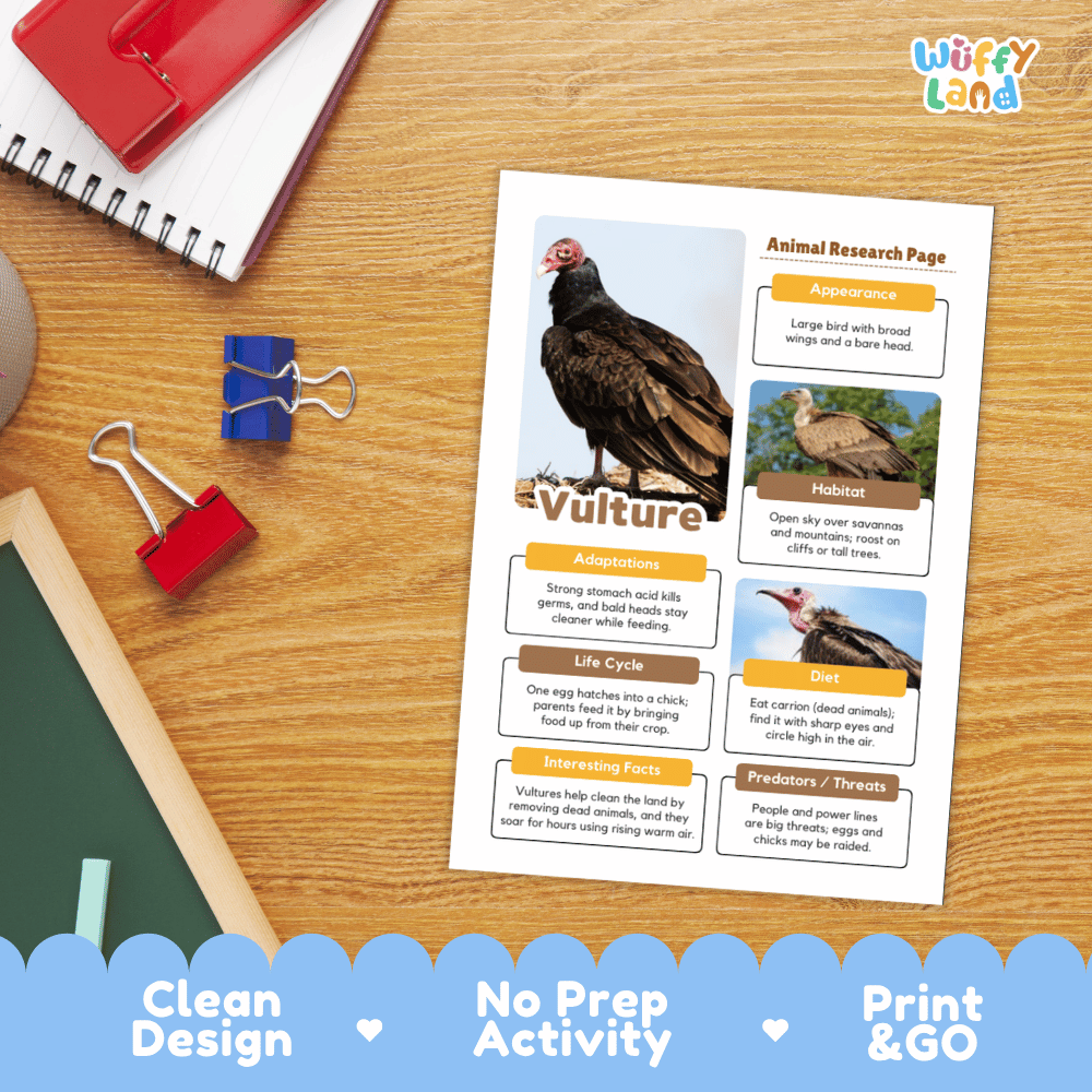 Vulture Animal Research Page Graphic Organizers and Worksheets