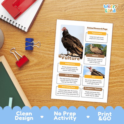 Vulture Animal Research Page Graphic Organizers and Worksheets
