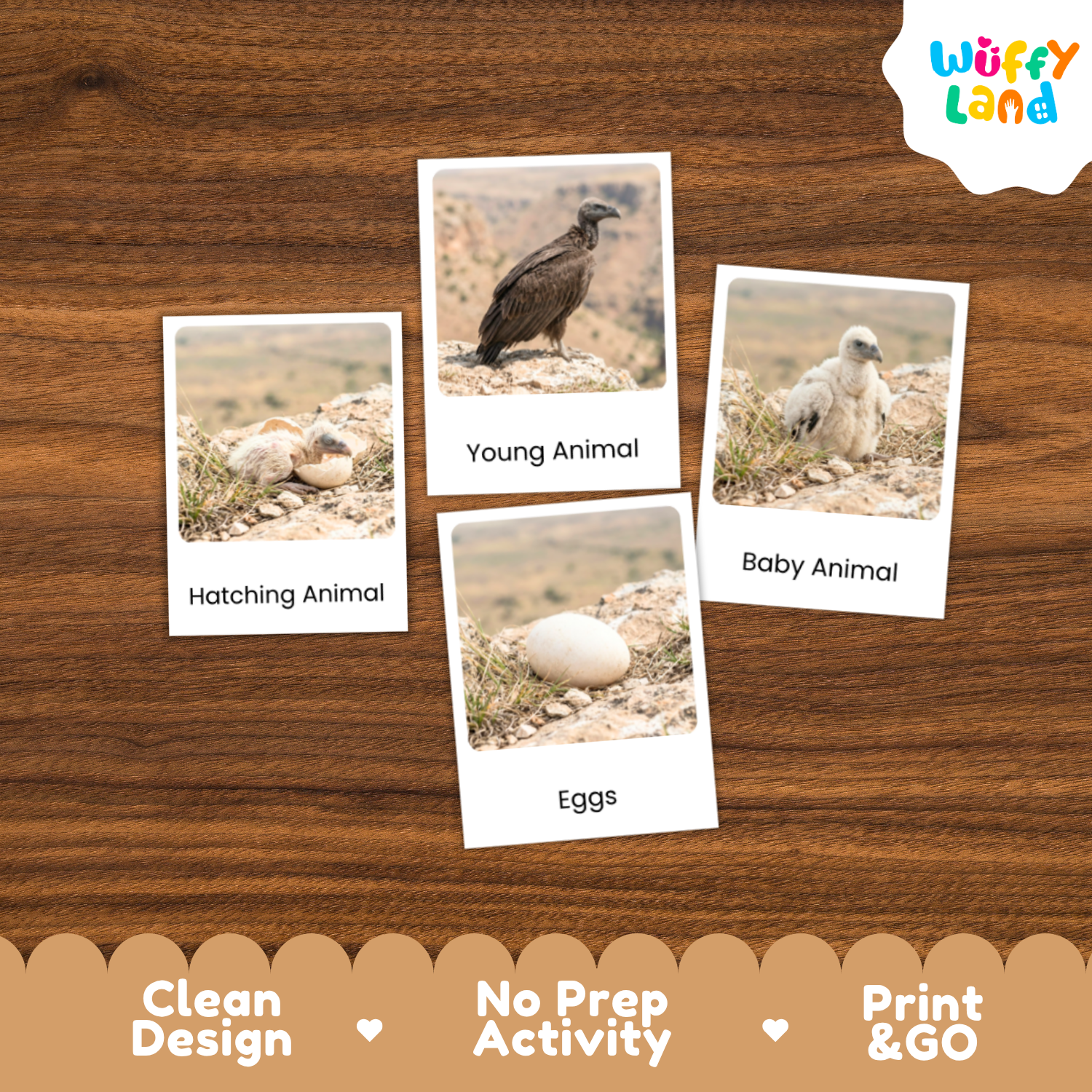 Four educational activity cards about animals and eggs arranged on a brown wood-grain background. The cards show labeled photos of a vulture, a baby animal, a hatching animal, and eggs.
