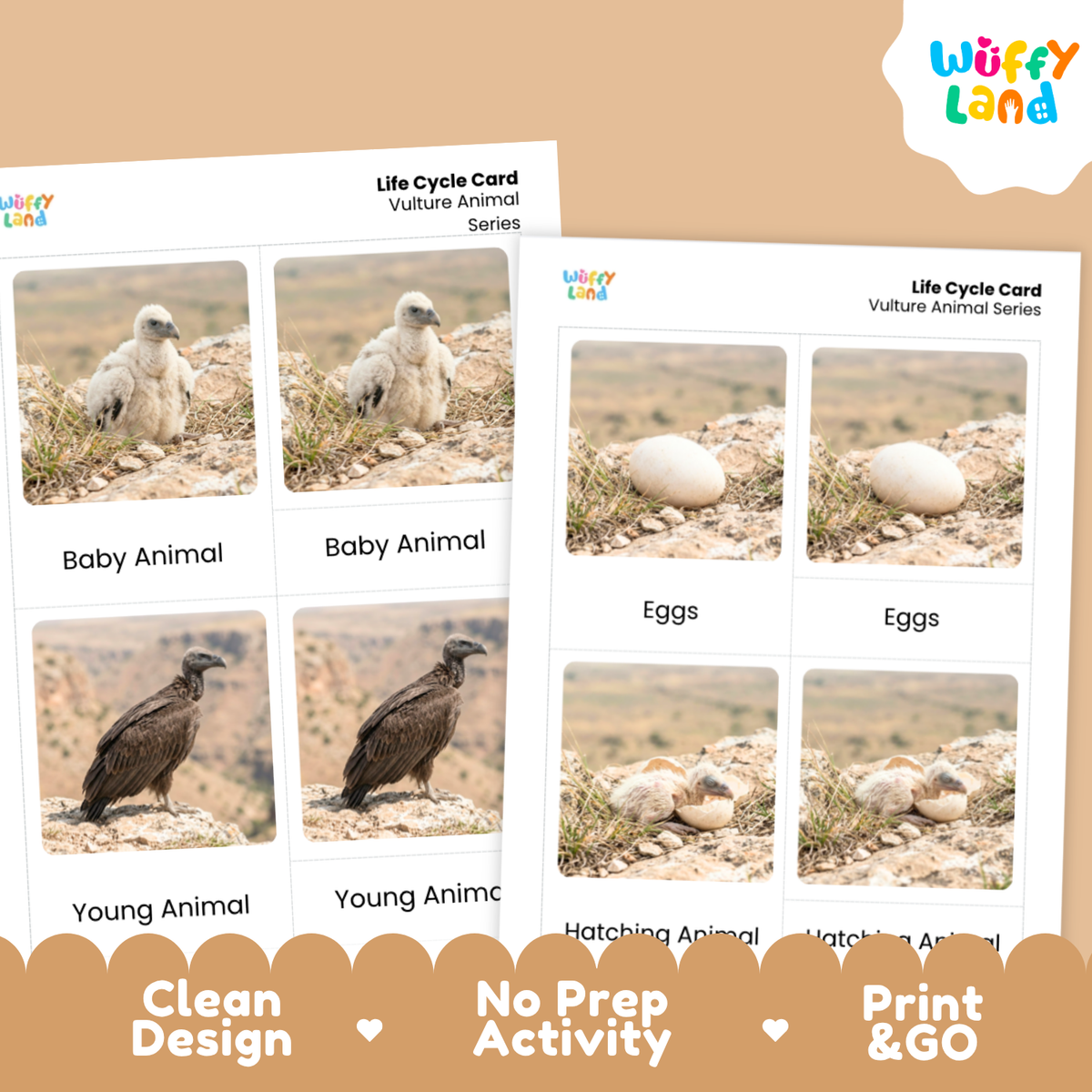 Two printed vulture animal life cycle cards shown on a beige background with promotional text. The cards feature labeled photos of baby animal, eggs, and young animal stages, and the brand name Wuffy Land appears in the top right corner.