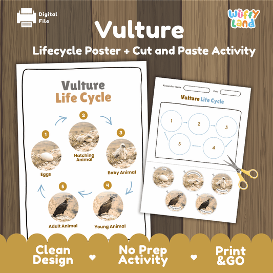 Vulture Life Cycle Poster and Cut and Paste Activity Worksheets