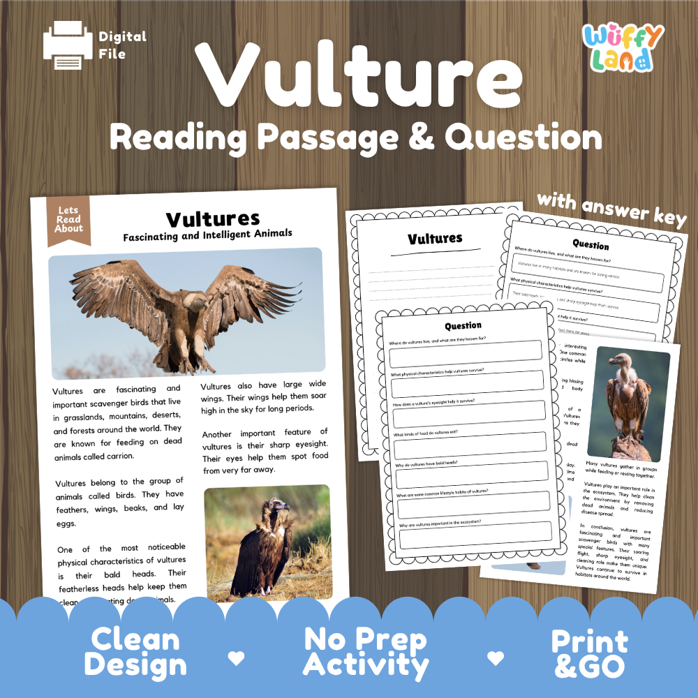 Vulture Reading Passage and Comprehension Questions Worksheets