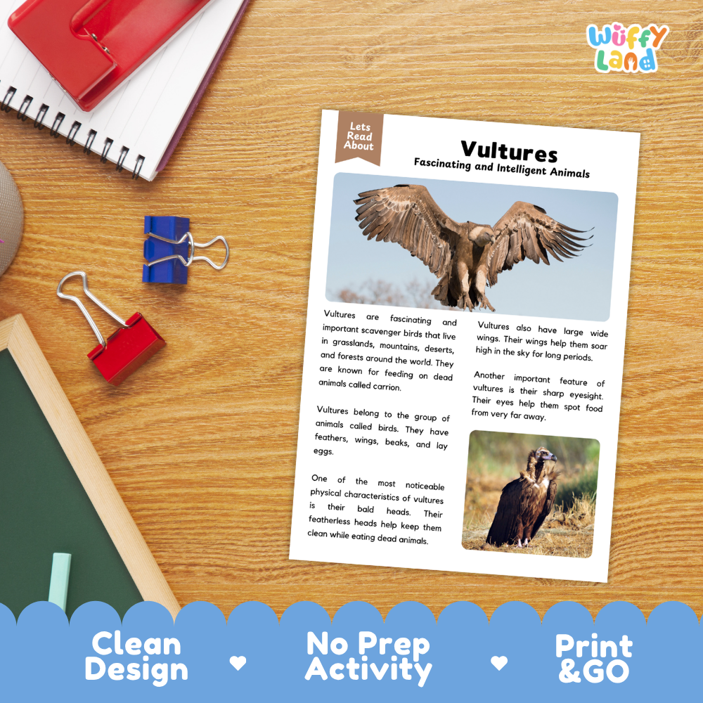Vulture Reading Passage and Comprehension Questions Worksheets