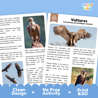 Vulture Reading Passage and Comprehension Questions Worksheets