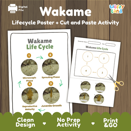 Wakame kelp seaweed life cycle educational printable pack cover showing visual reference poster and cut and paste sequencing worksheet with real photography