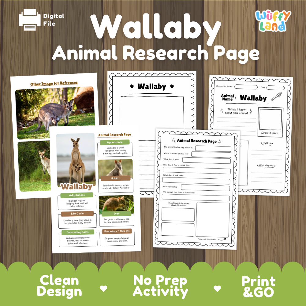 Wallaby Animal Research Page Worksheets