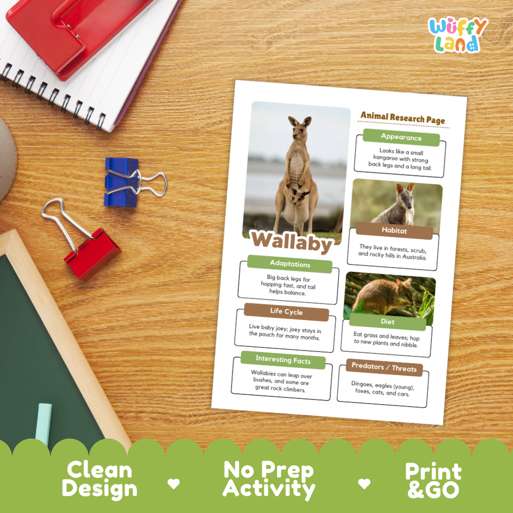 Wallaby Animal Research Page Worksheets