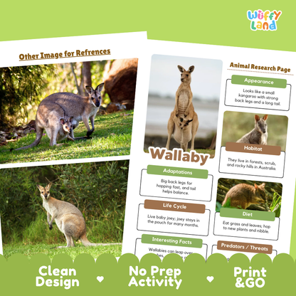 Promotional graphic for an educational wallaby fact sheet or activity card. The design shows a sample animal research page with photos of wallabies, alongside text callouts about appearance, habitat, adaptations, life cycle, diet, and interesting facts.