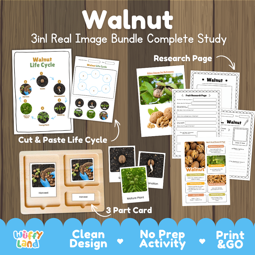 Complete Walnut 3-in-1 real image study bundle featuring cut and paste worksheets, Montessori 3-part cards, and research pages 🌰🌱