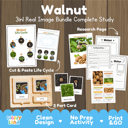 Complete Walnut 3-in-1 real image study bundle featuring cut and paste worksheets, Montessori 3-part cards, and research pages 🌰🌱