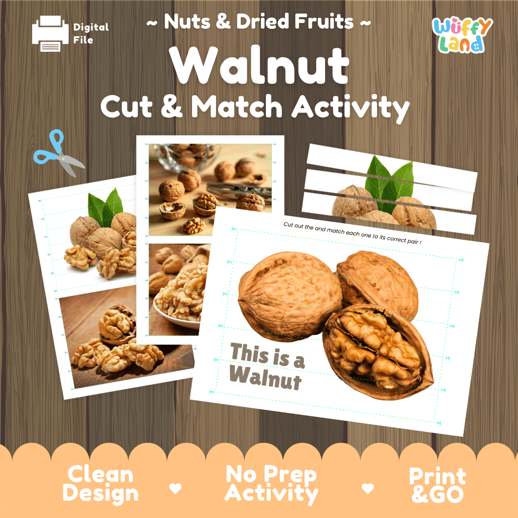 Walnut Cut and Match Activity Worksheets | Nuts and Dried Fruits Puzzle Printables