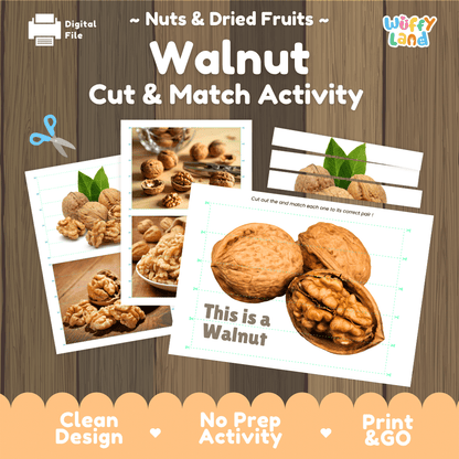 Walnut Cut and Match Activity Worksheets | Nuts and Dried Fruits Puzzle Printables