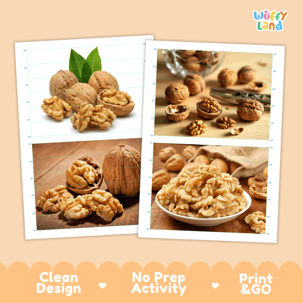 Walnut Cut and Match Activity Worksheets | Nuts and Dried Fruits Puzzle Printables