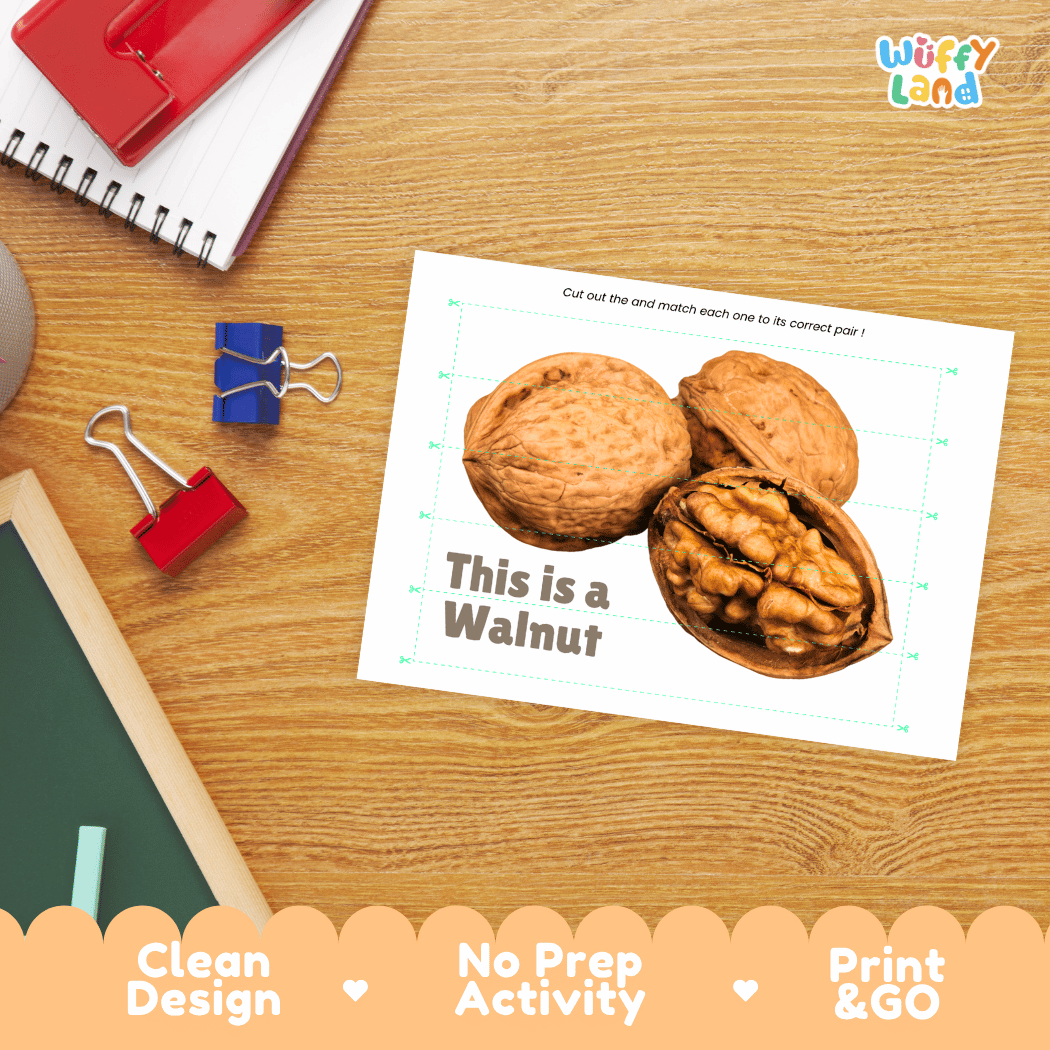 Walnut Cut and Match Activity Worksheets | Nuts and Dried Fruits Puzzle Printables