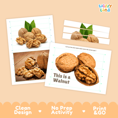 Walnut Cut and Match Activity Worksheets | Nuts and Dried Fruits Puzzle Printables